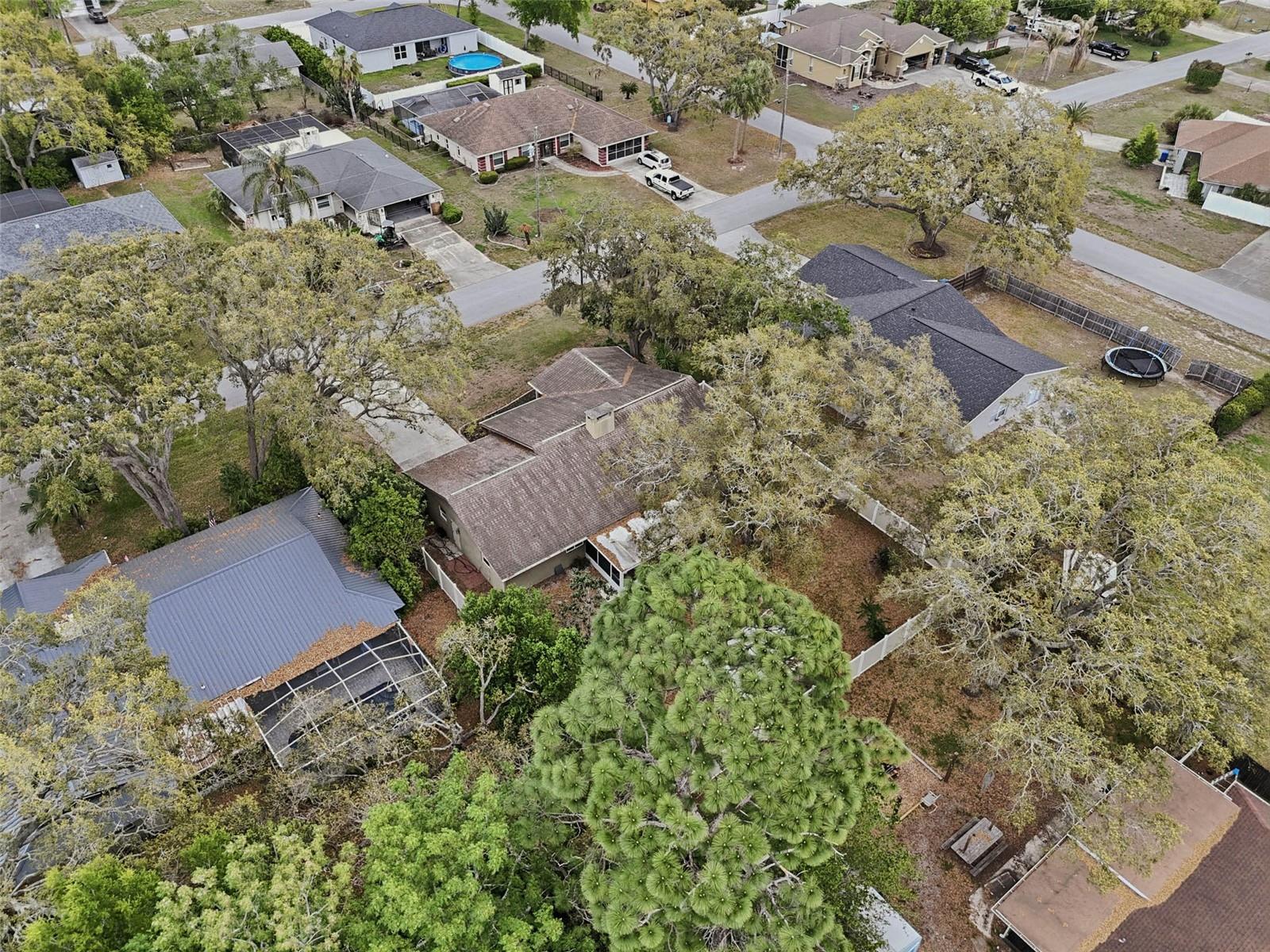 Image 43 of 49 For 9062 Blackstone Street