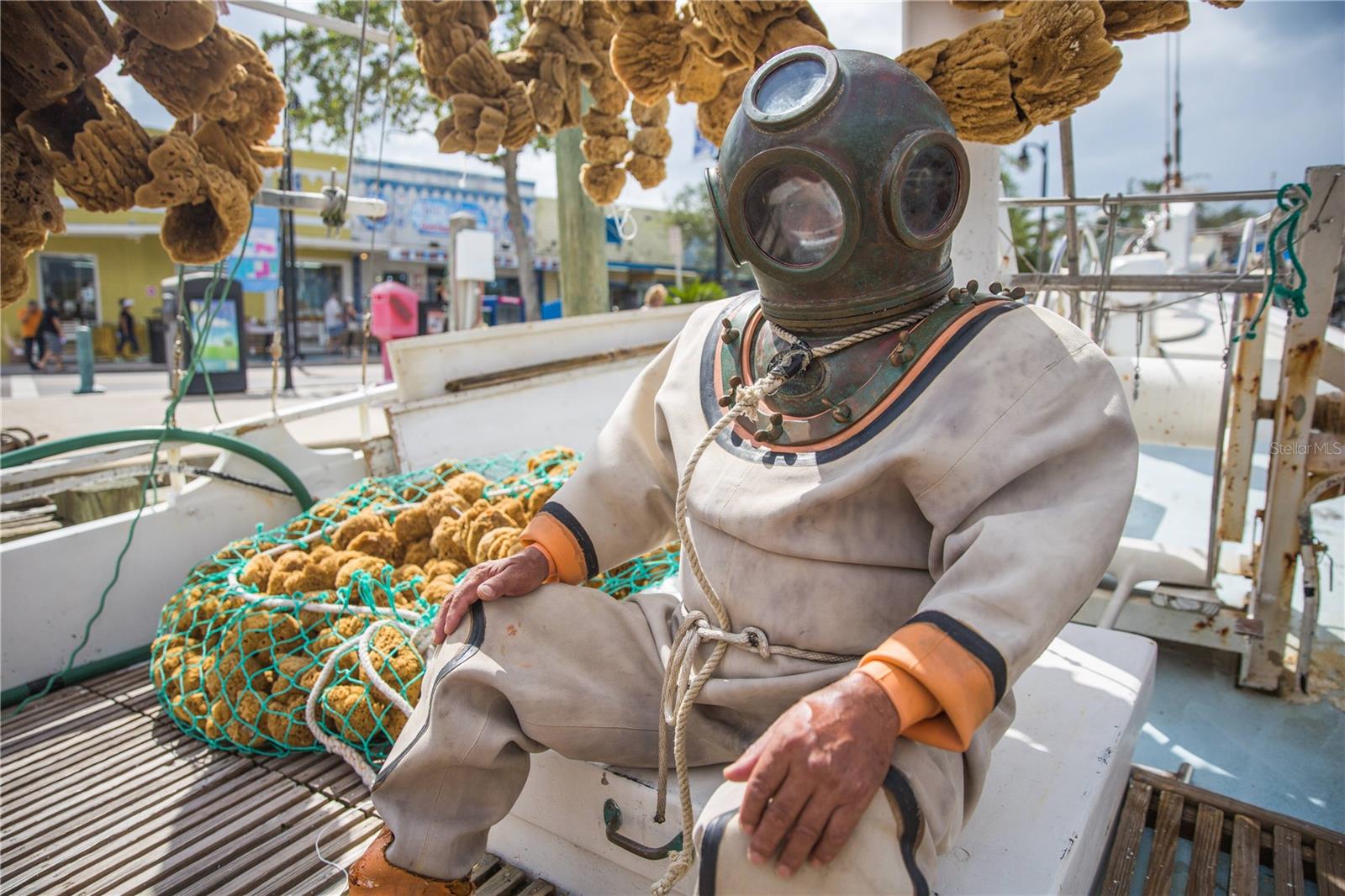 Image 61 of 71 For 229 Dixie  