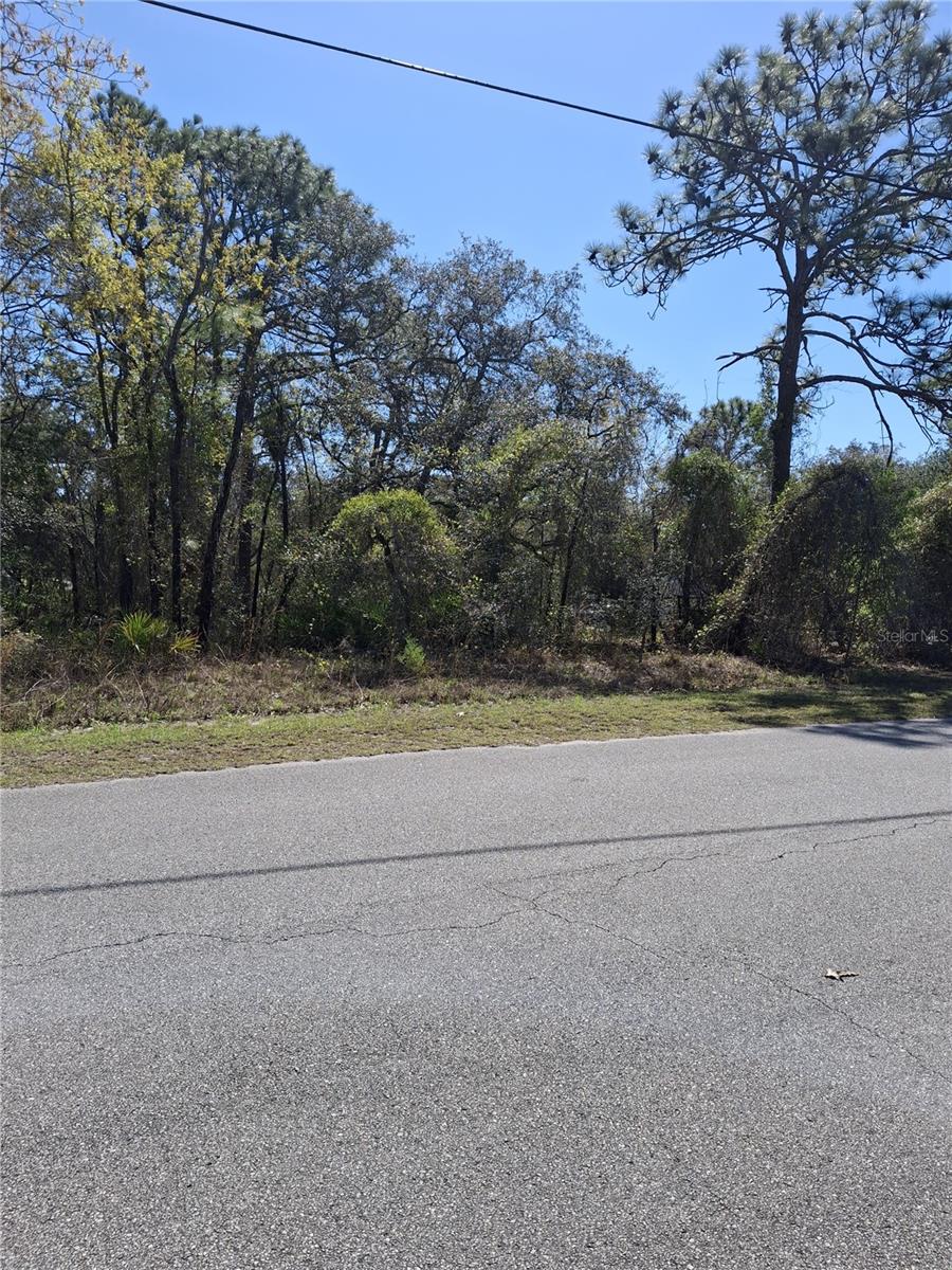 Image 2 of 8 For 11500 Lomita Wren Road