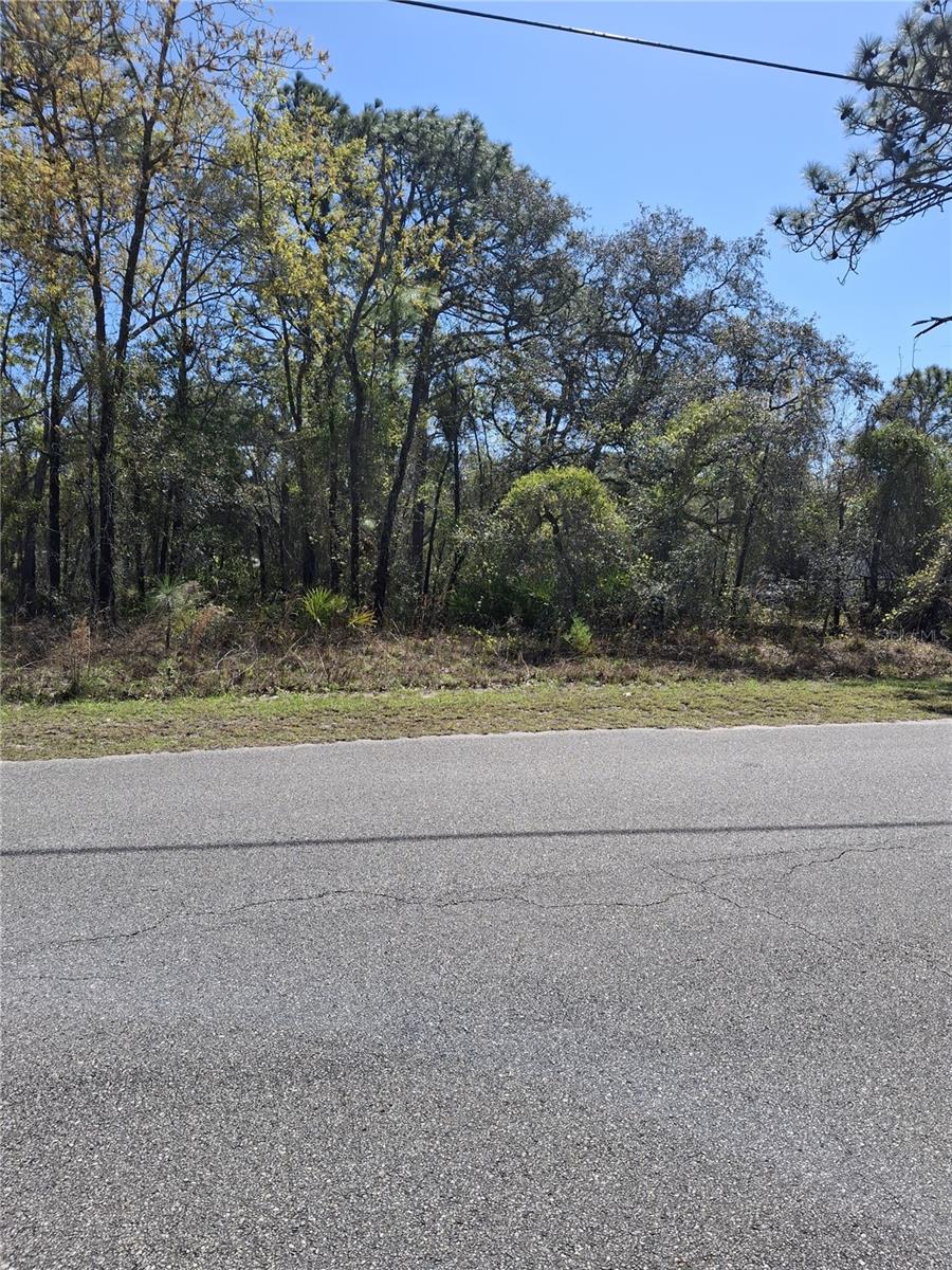 Image 4 of 8 For 11500 Lomita Wren Road