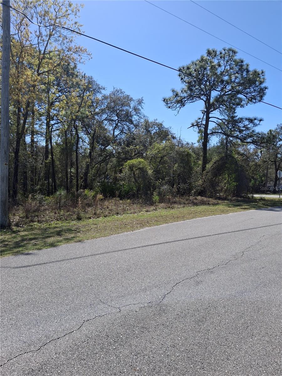 Image 5 of 8 For 11500 Lomita Wren Road