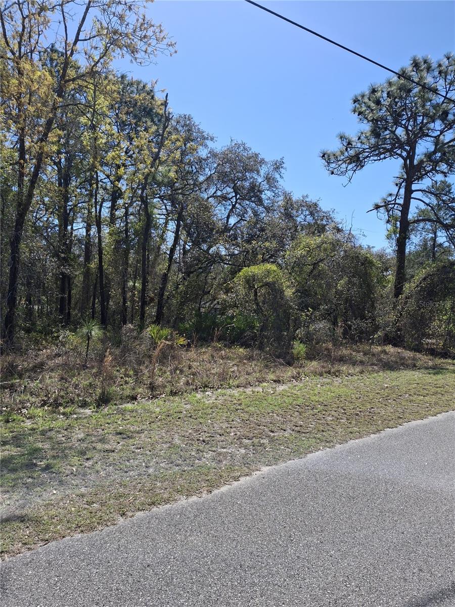 Image 6 of 8 For 11500 Lomita Wren Road