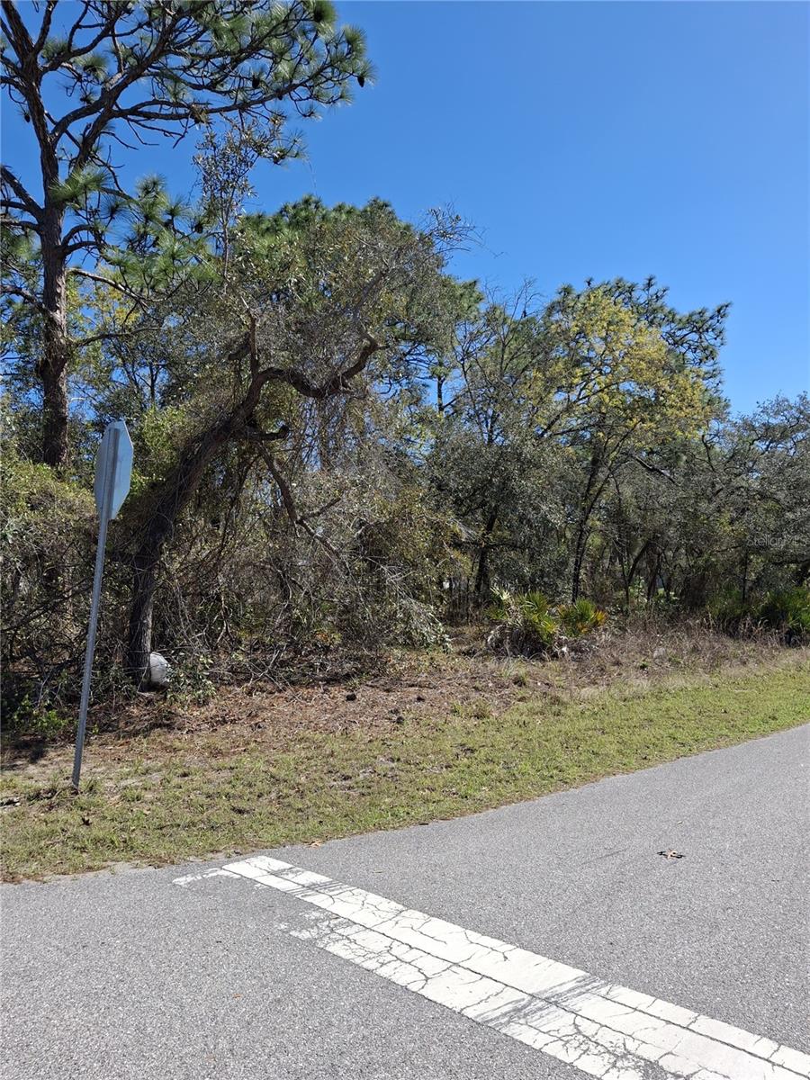 Image 7 of 8 For 11500 Lomita Wren Road