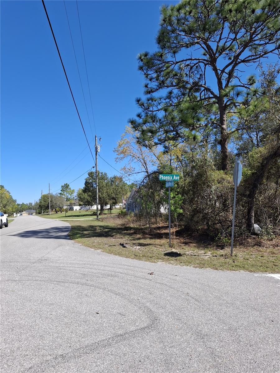 Image 8 of 8 For 11500 Lomita Wren Road
