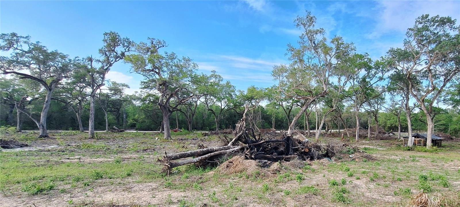 Image 33 of 33 For 7242 Elaine Drive