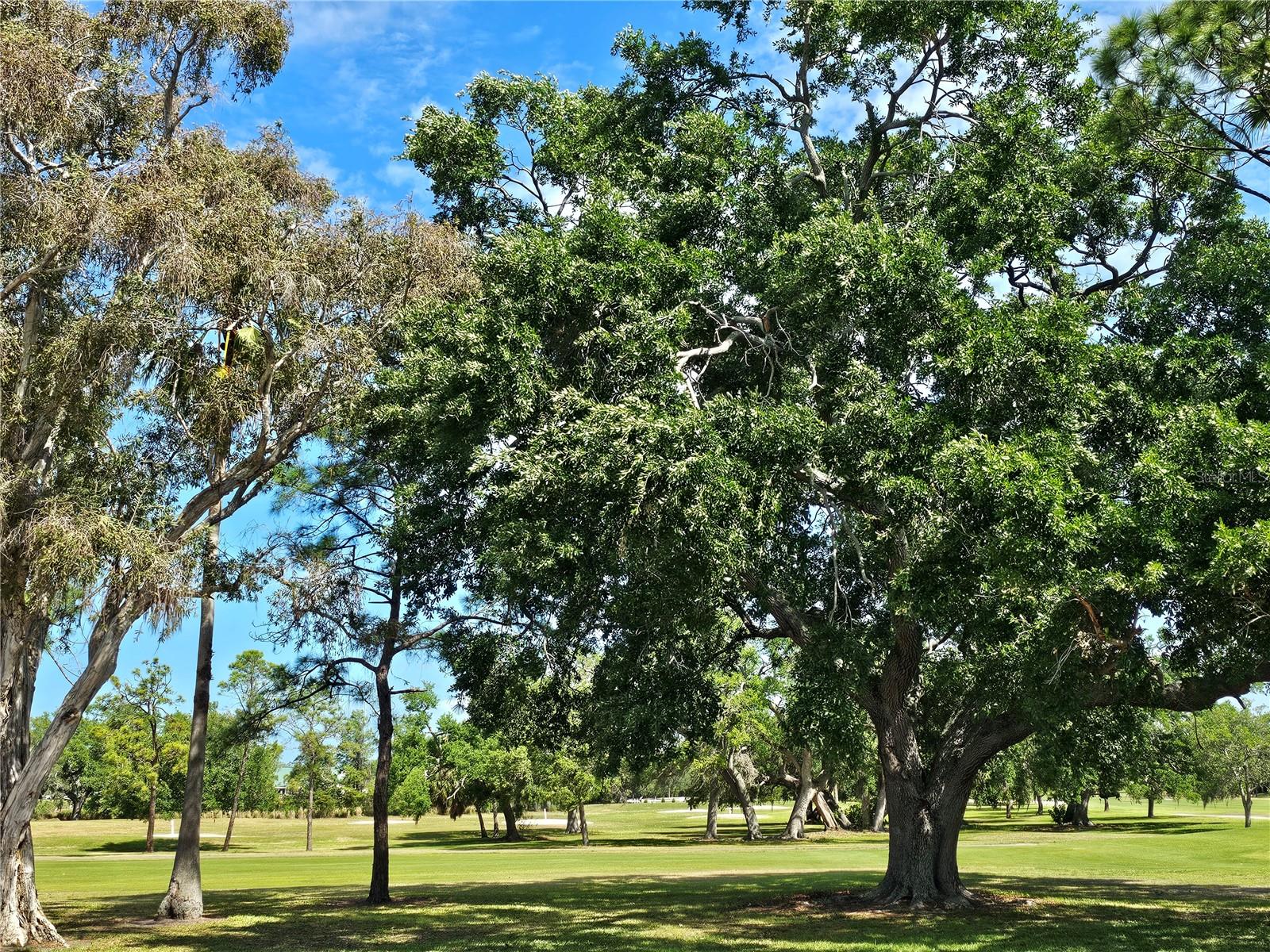 Image 16 of 17 For 1365 Drew Street 102