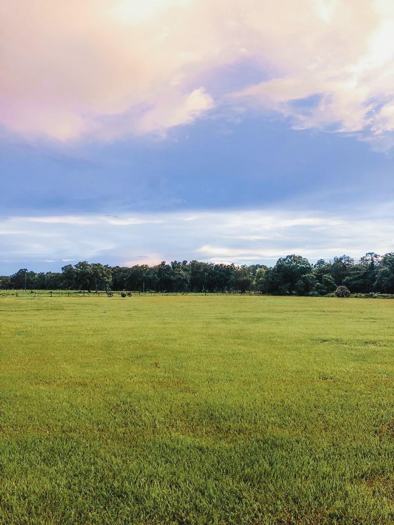 Image 46 of 63 For 13112 Balm Boyette Road