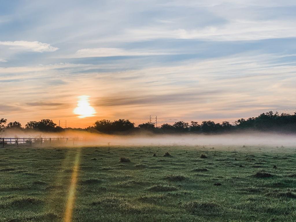 Image 47 of 63 For 13112 Balm Boyette Road