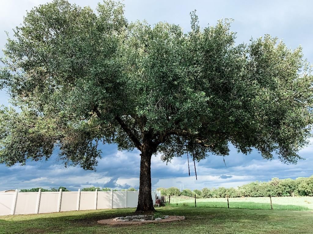 Image 54 of 63 For 13112 Balm Boyette Road