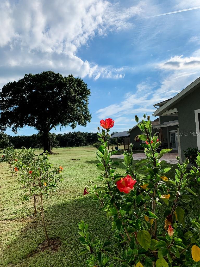 Image 55 of 63 For 13112 Balm Boyette Road