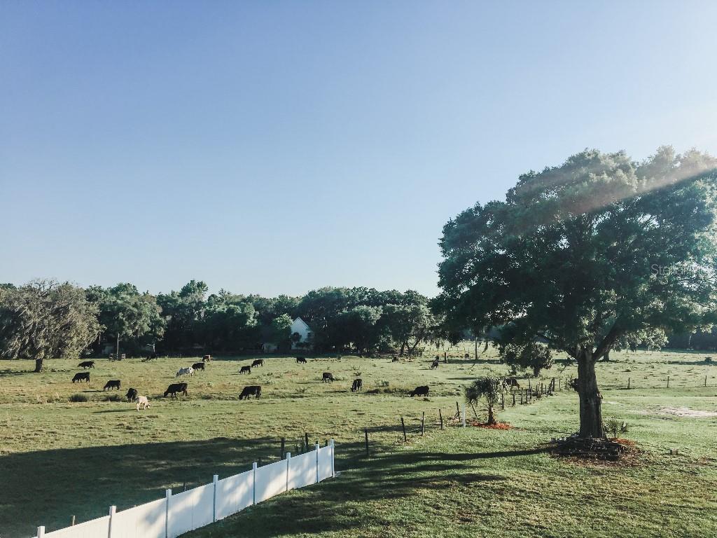 Image 59 of 63 For 13112 Balm Boyette Road