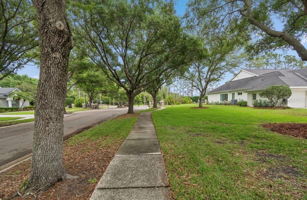 Image 60 of 76 For 19127 Centre Rose Boulevard