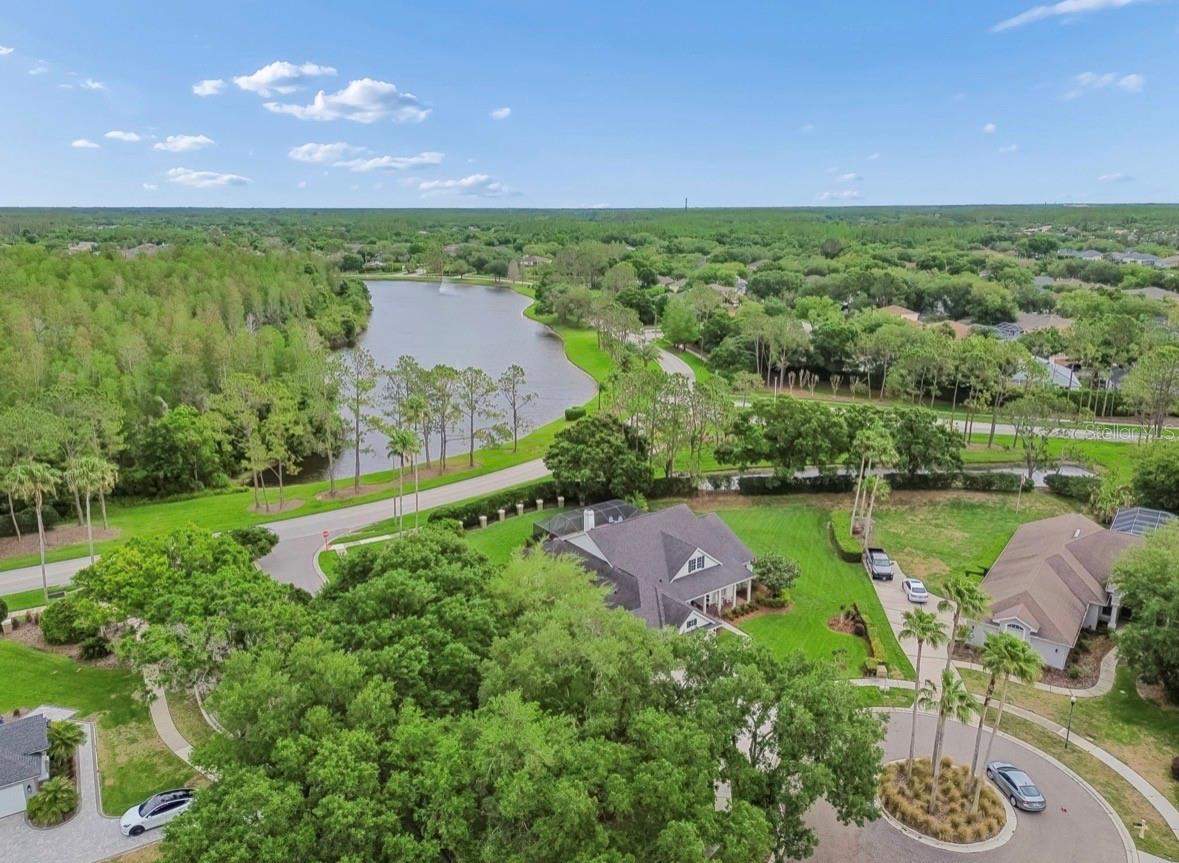 Image 68 of 76 For 19127 Centre Rose Boulevard