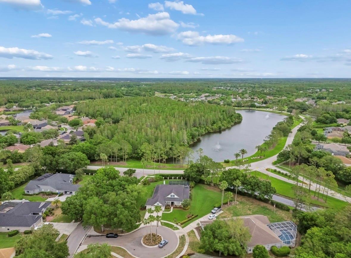 Image 70 of 76 For 19127 Centre Rose Boulevard