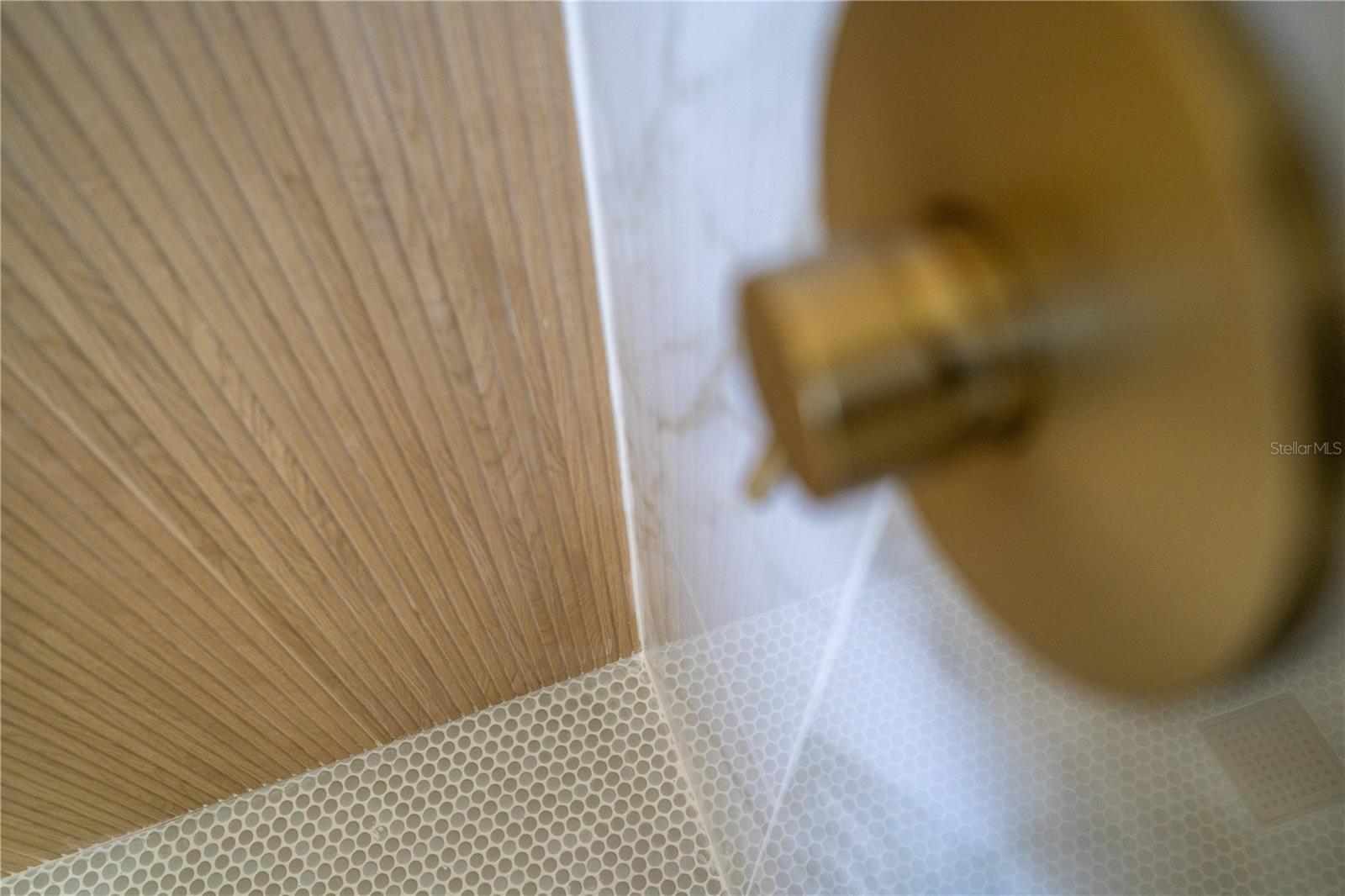 Image 22 of 38 For 1609 Council Drive