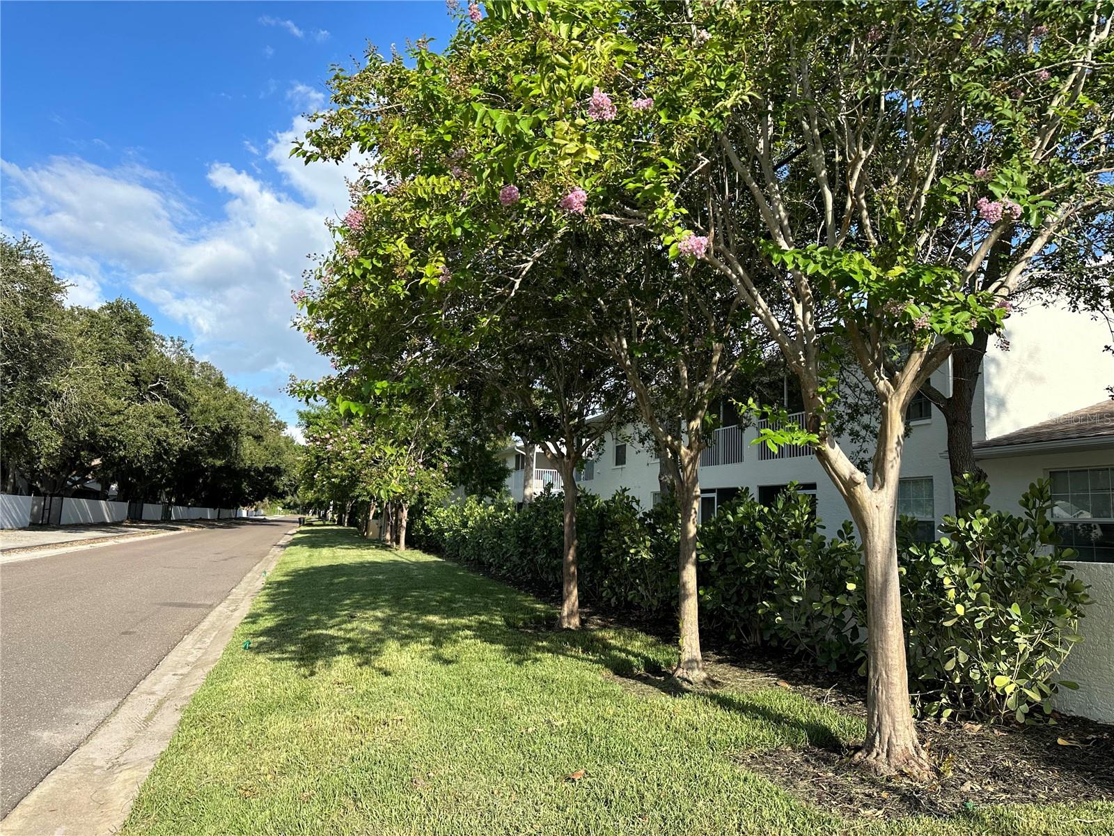 Image 21 of 22 For 3840 34th Avenue S 102