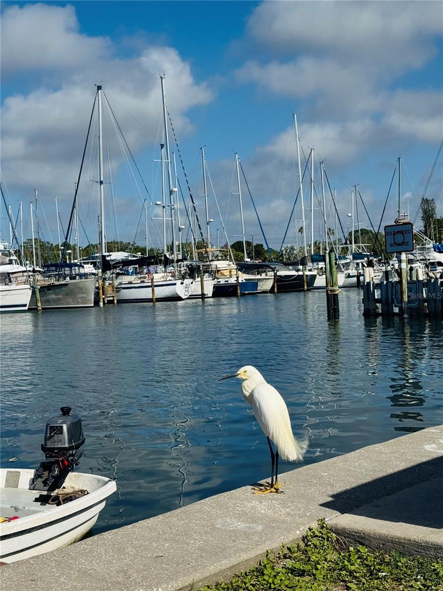 Image 43 of 43 For 2812 Miriam Street S