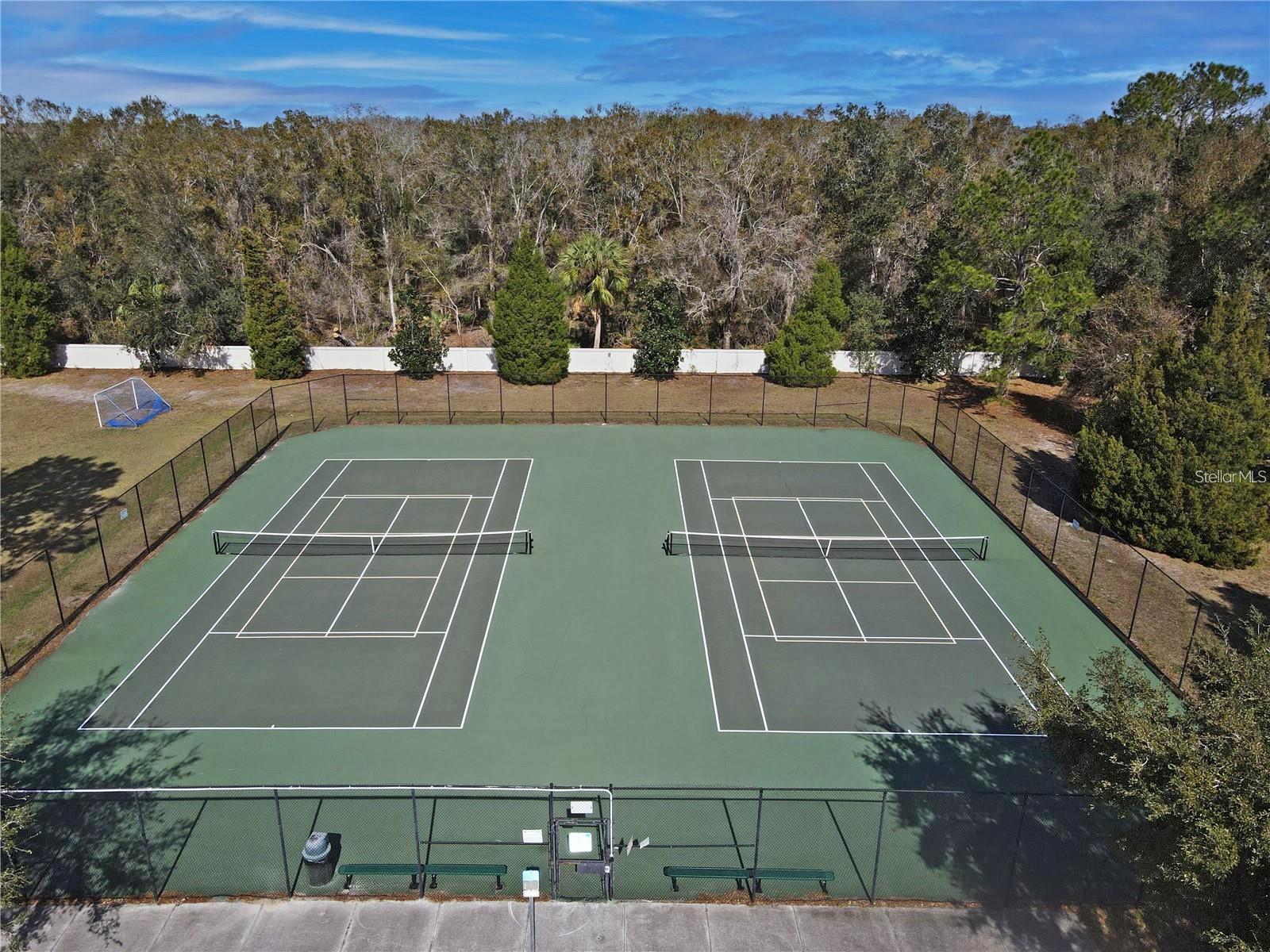 Image 65 of 81 For 5245 Gato Del Sol Circle