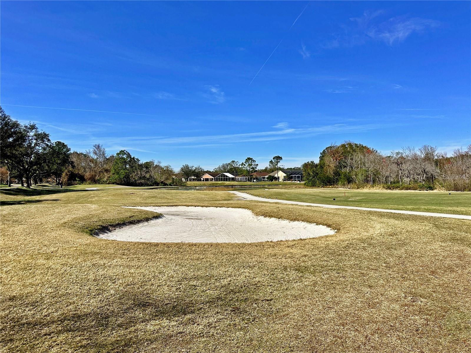 Image 79 of 81 For 5245 Gato Del Sol Circle