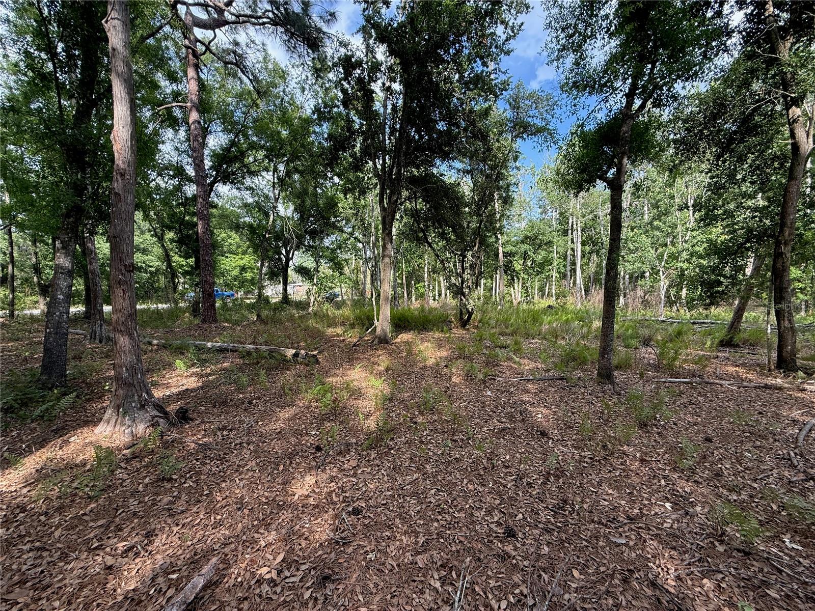 Image 10 of 16 For Quail Hollow Boulevard