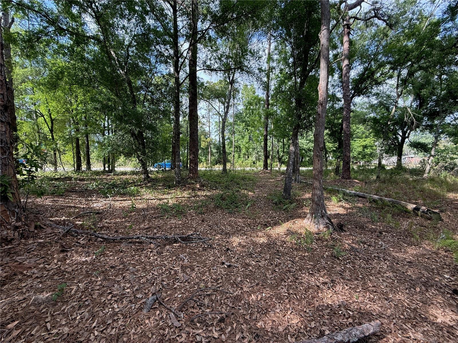 Image 11 of 16 For Quail Hollow Boulevard