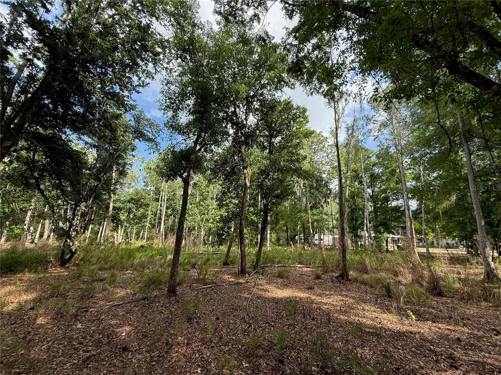 Image 12 of 16 For Quail Hollow Boulevard