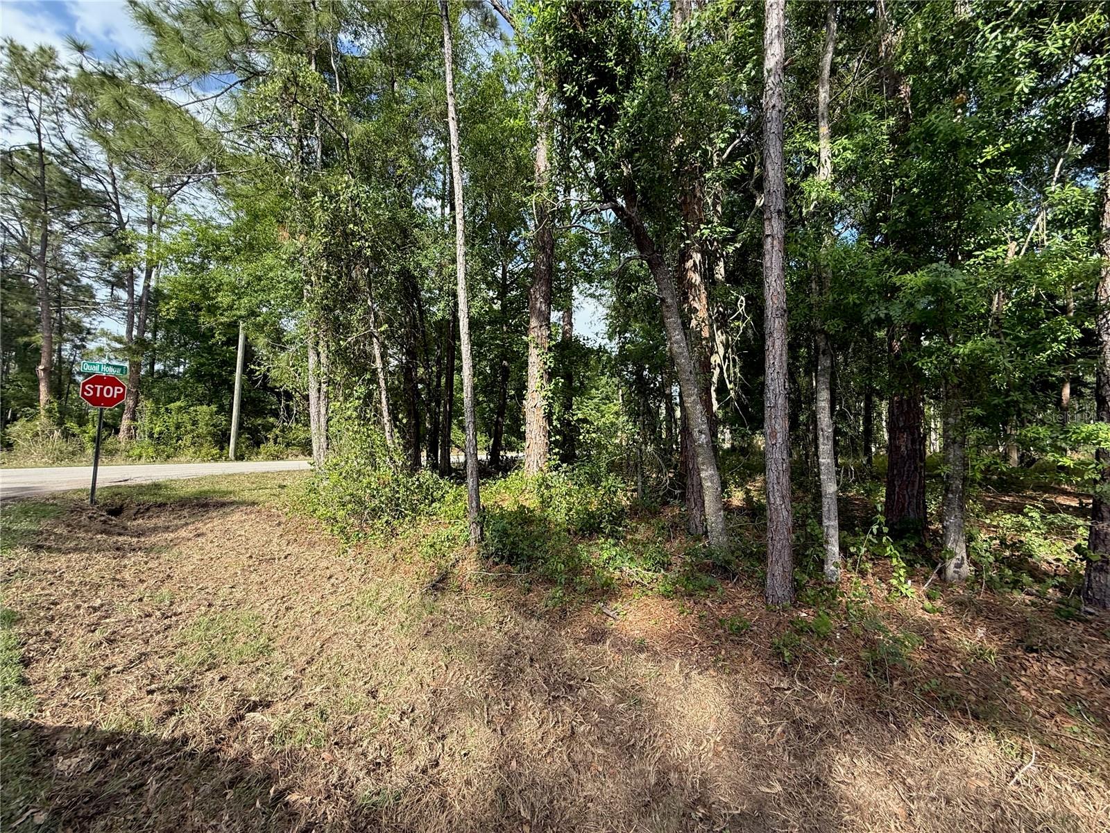 Image 13 of 16 For Quail Hollow Boulevard