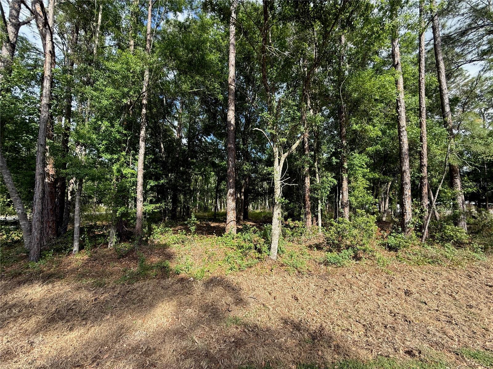 Image 5 of 16 For Quail Hollow Boulevard