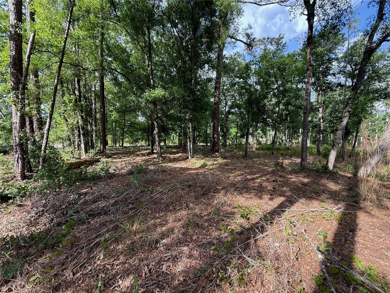 Image 6 of 16 For Quail Hollow Boulevard