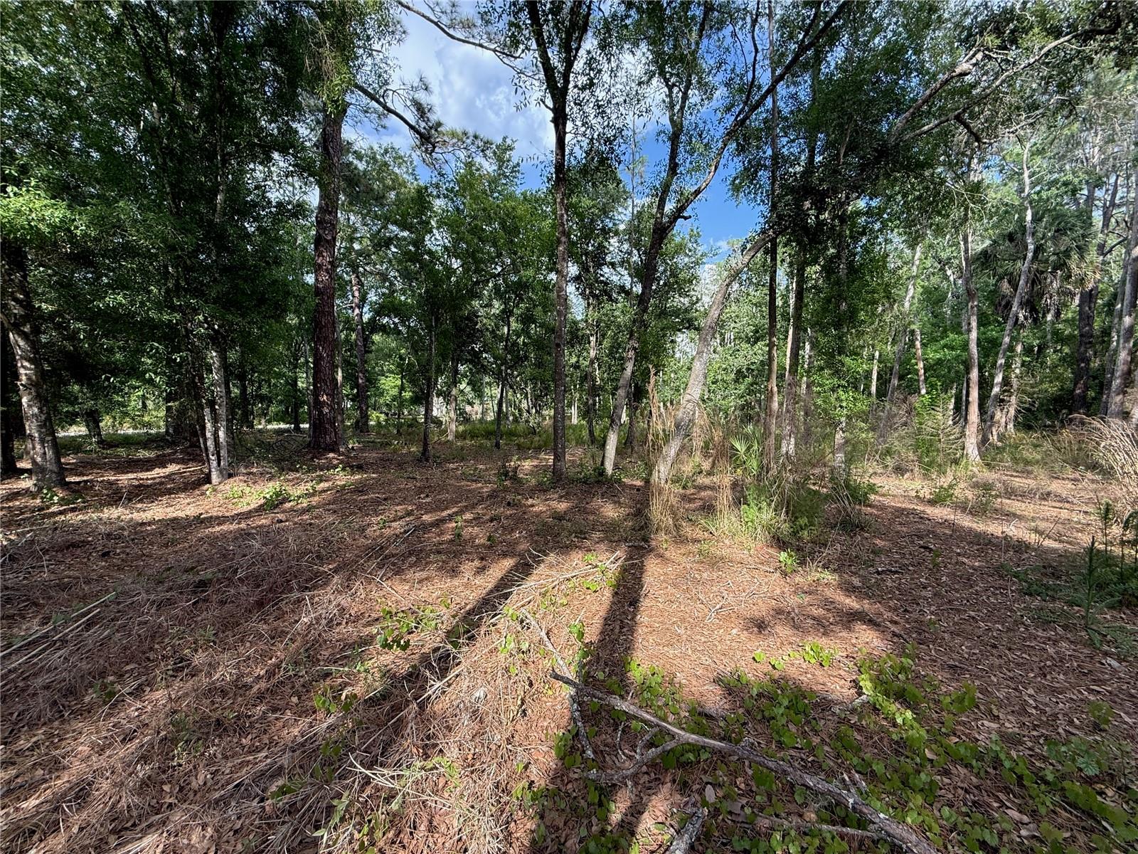 Image 7 of 16 For Quail Hollow Boulevard