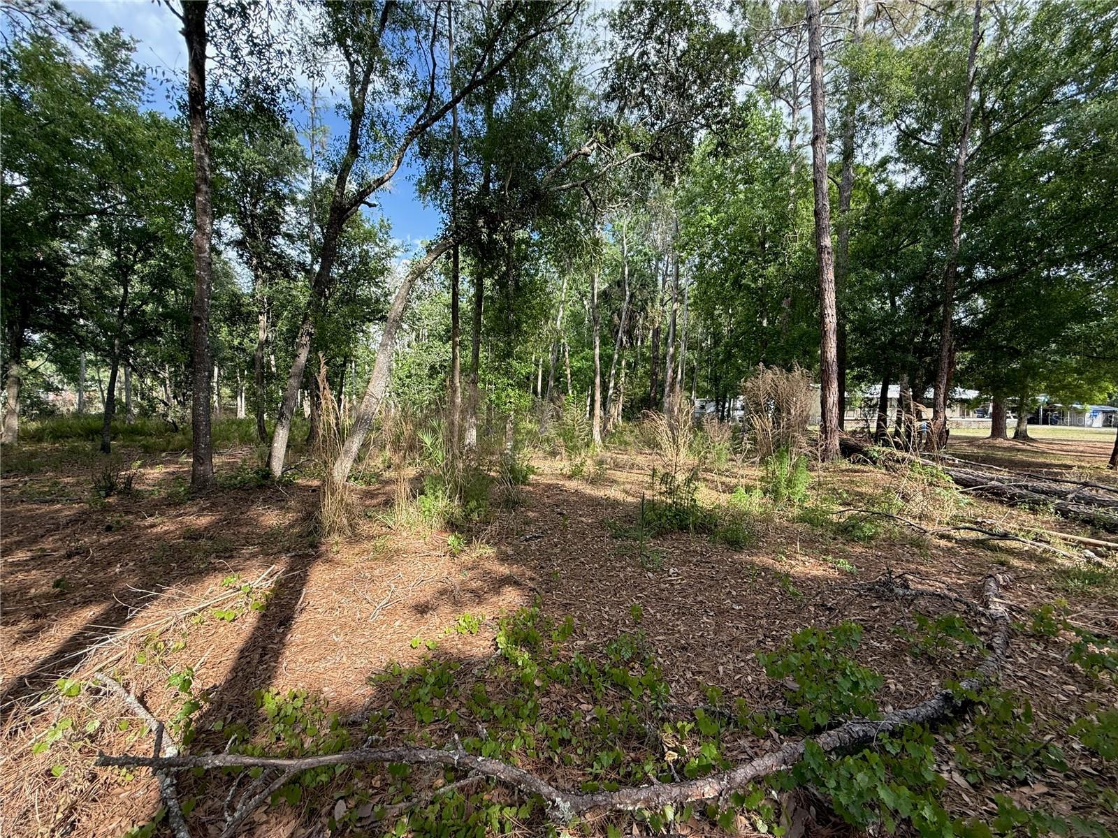 Image 8 of 16 For Quail Hollow Boulevard