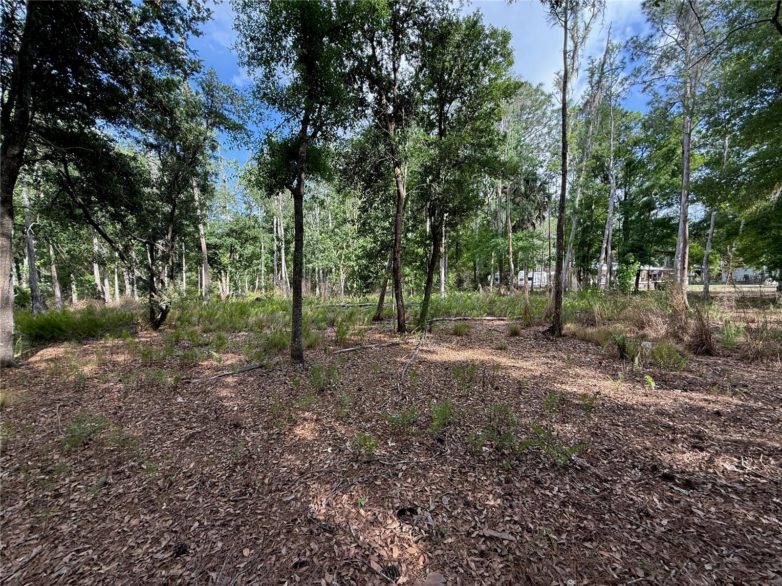 Image 9 of 16 For Quail Hollow Boulevard