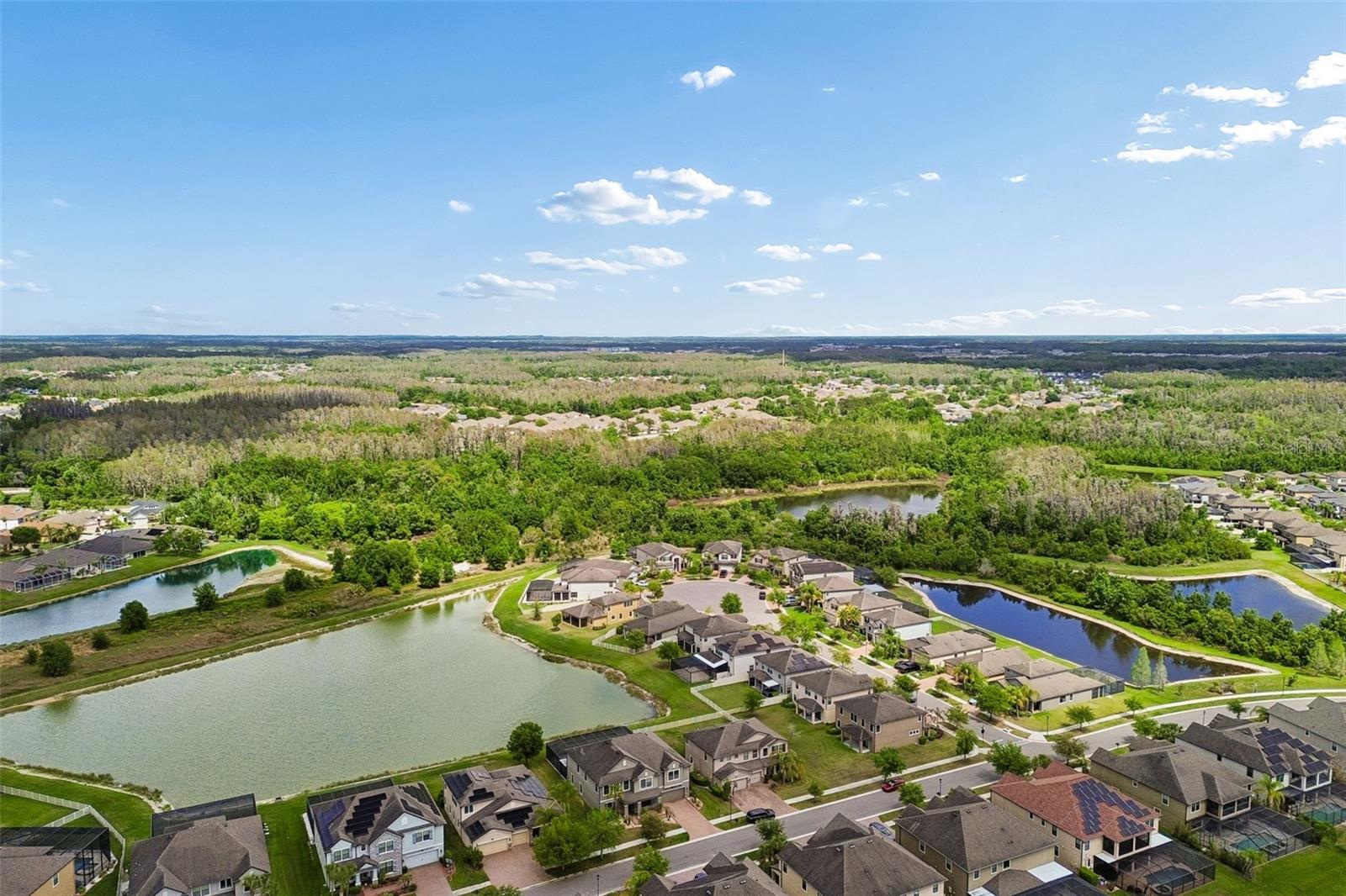 Listing photo id 75 for 10316 Clover Pine Drive