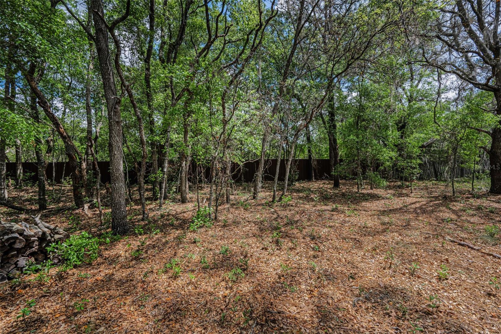 Listing photo id 40 for 15747 Sago Drive