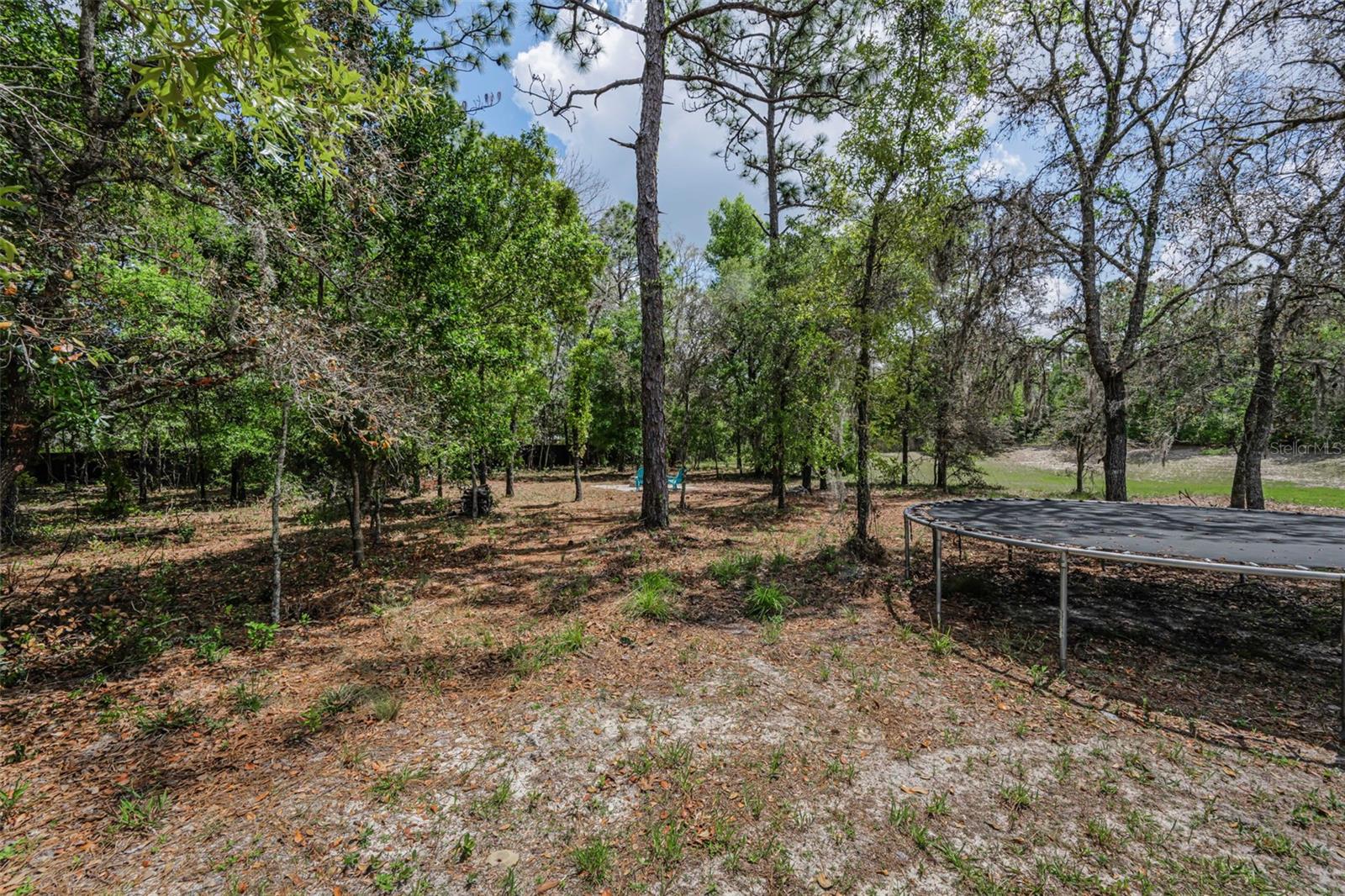 Listing photo id 77 for 15747 Sago Drive