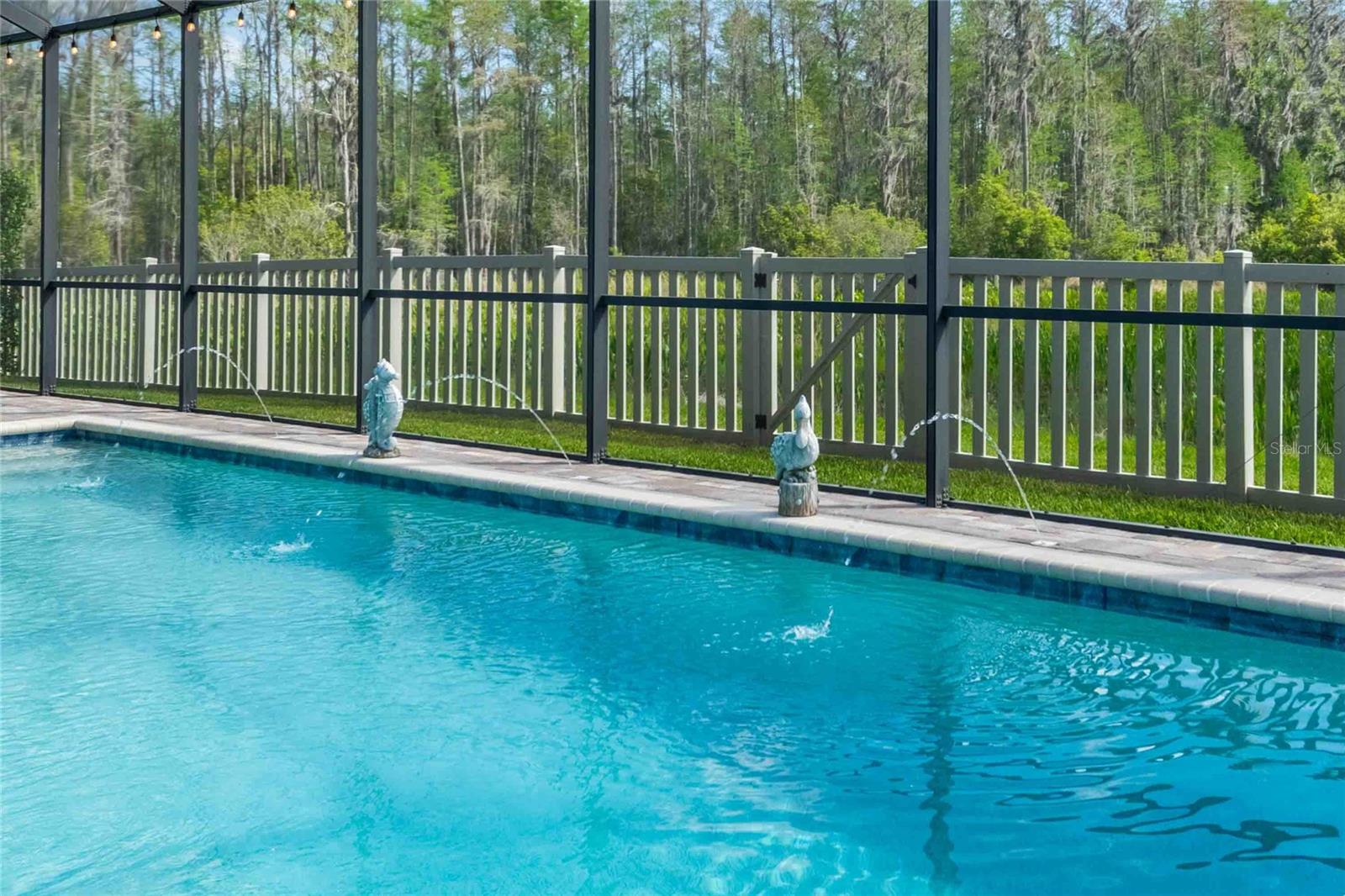 Listing photo id 48 for 8306 Bluevine Sky Drive