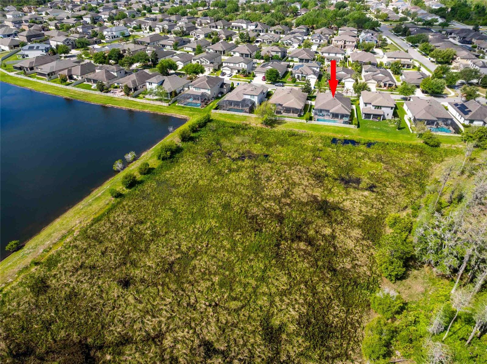 Listing photo id 61 for 8306 Bluevine Sky Drive