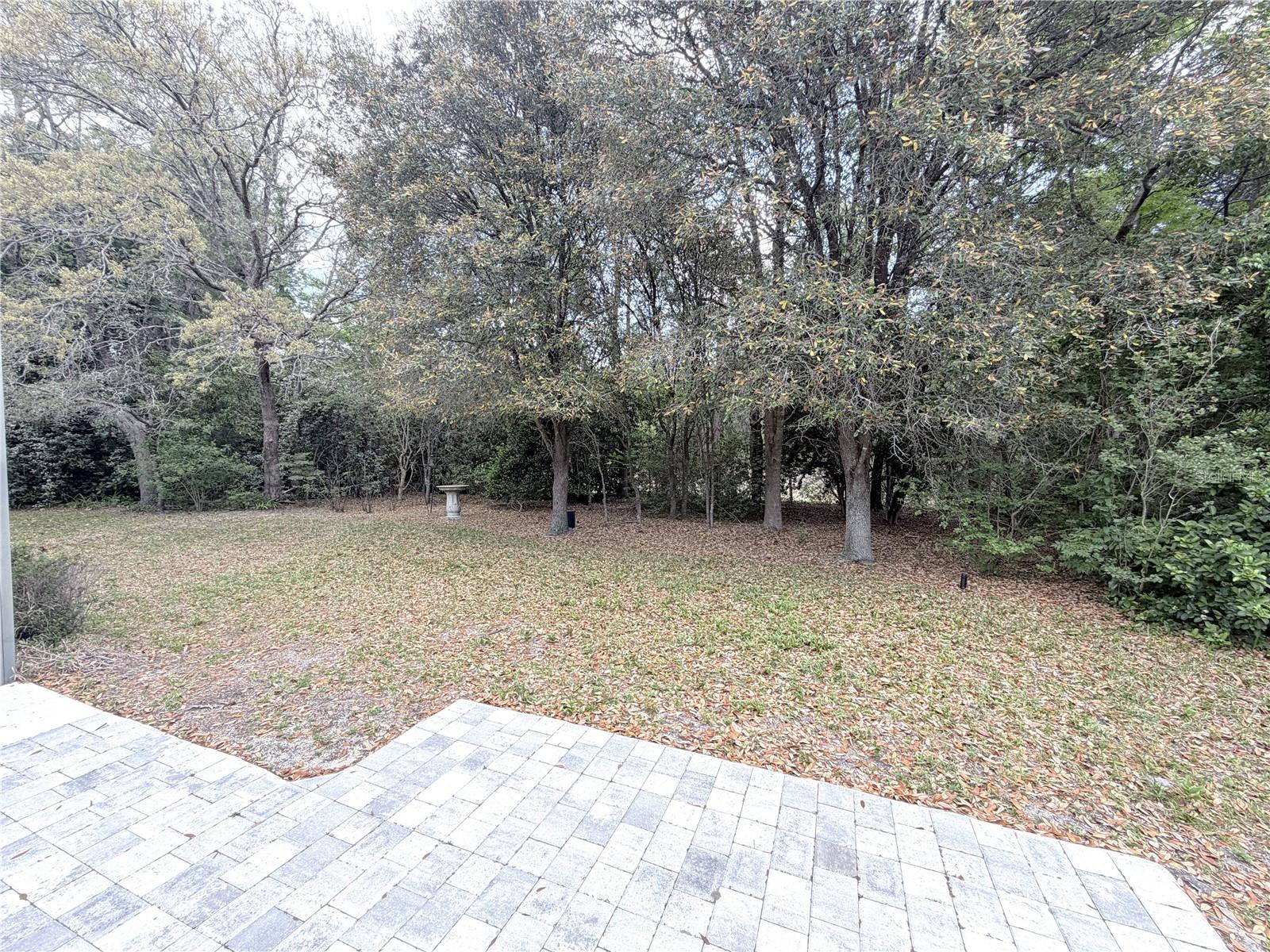 Image 18 of 21 For 13 Oak Village Boulevard S