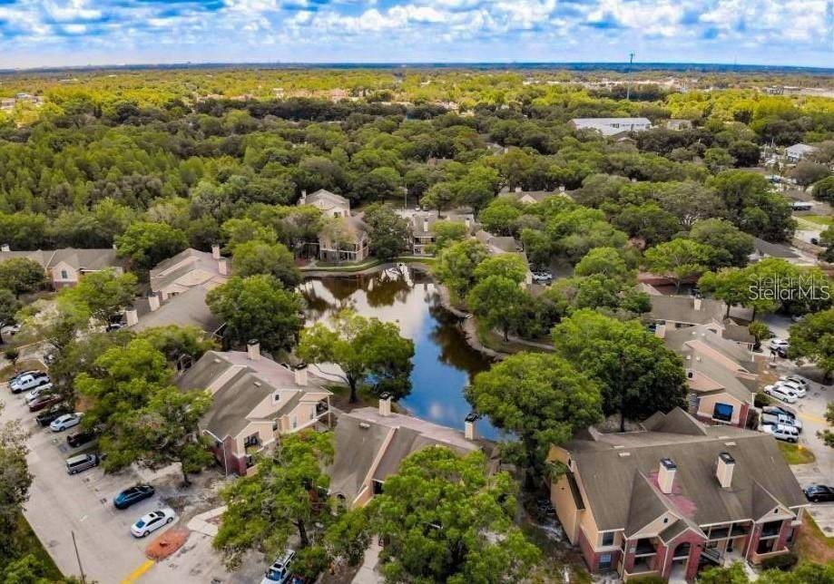 Details for 8641 Fancy Finch Drive 202, TAMPA, FL 33614