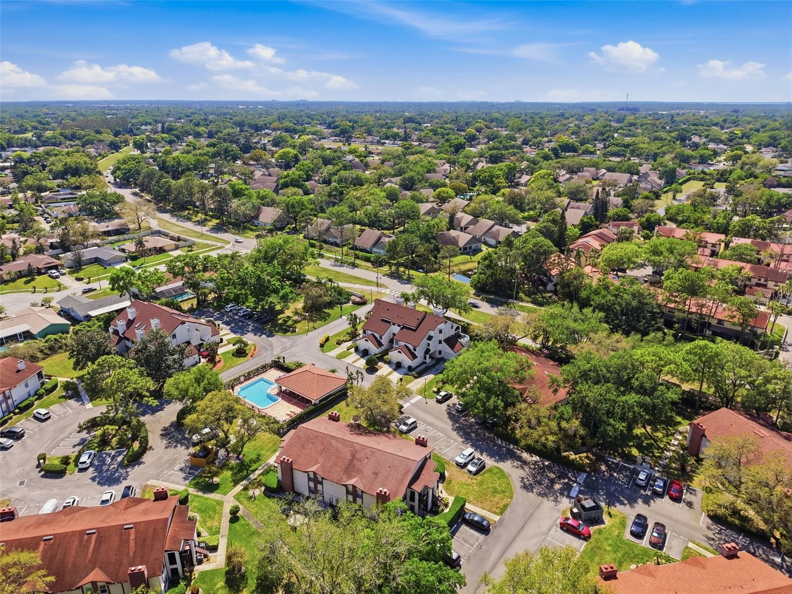 Image 54 of 62 For 3455 Countryside Boulevard 98