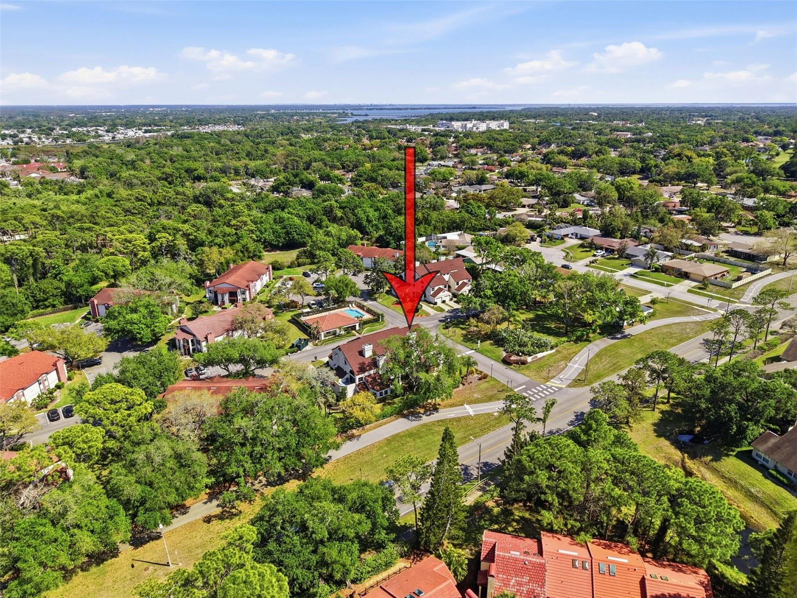 Image 55 of 62 For 3455 Countryside Boulevard 98