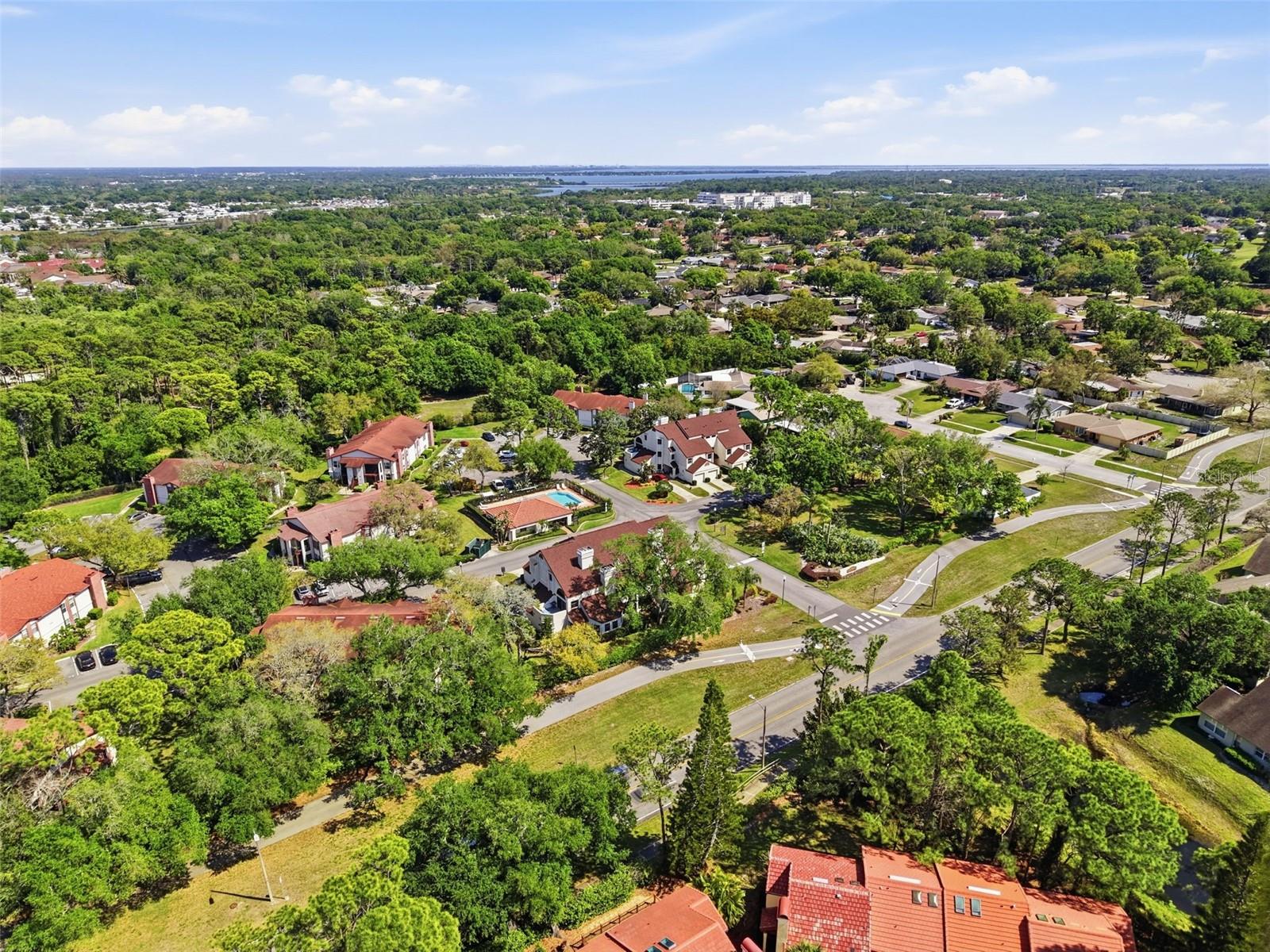 Image 56 of 62 For 3455 Countryside Boulevard 98