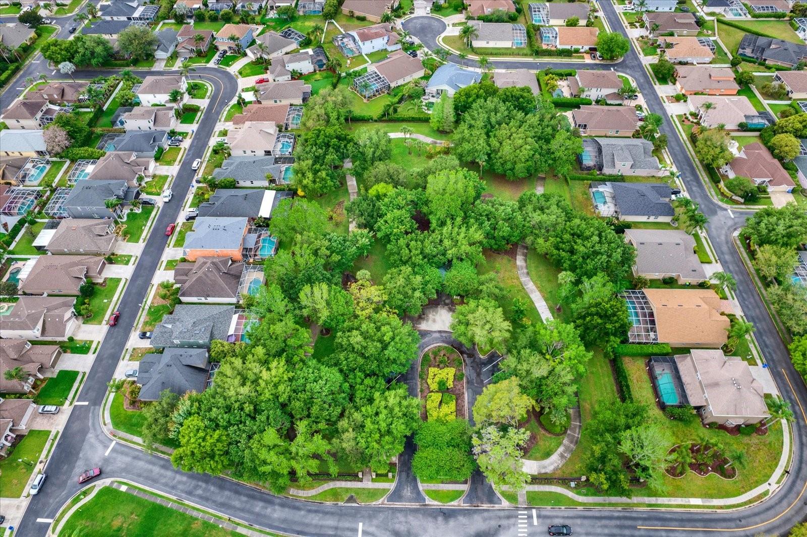 Image 36 of 41 For 2021 Meadow Rue Court