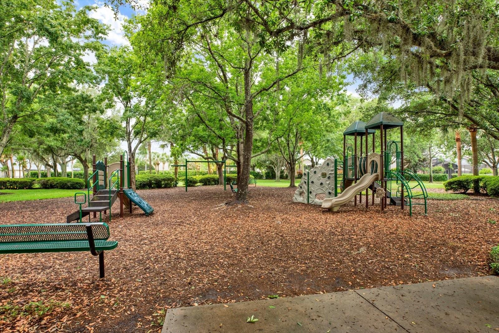 Image 40 of 41 For 2021 Meadow Rue Court