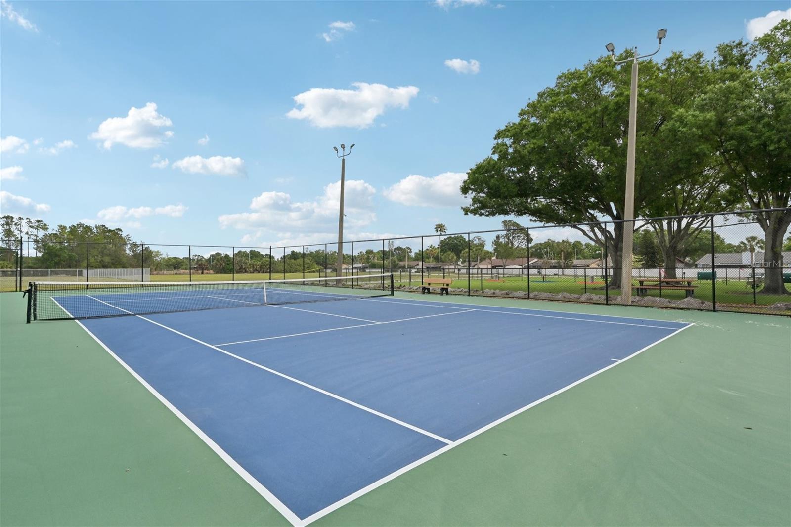 Listing photo id 48 for 13310 Beechberry Drive