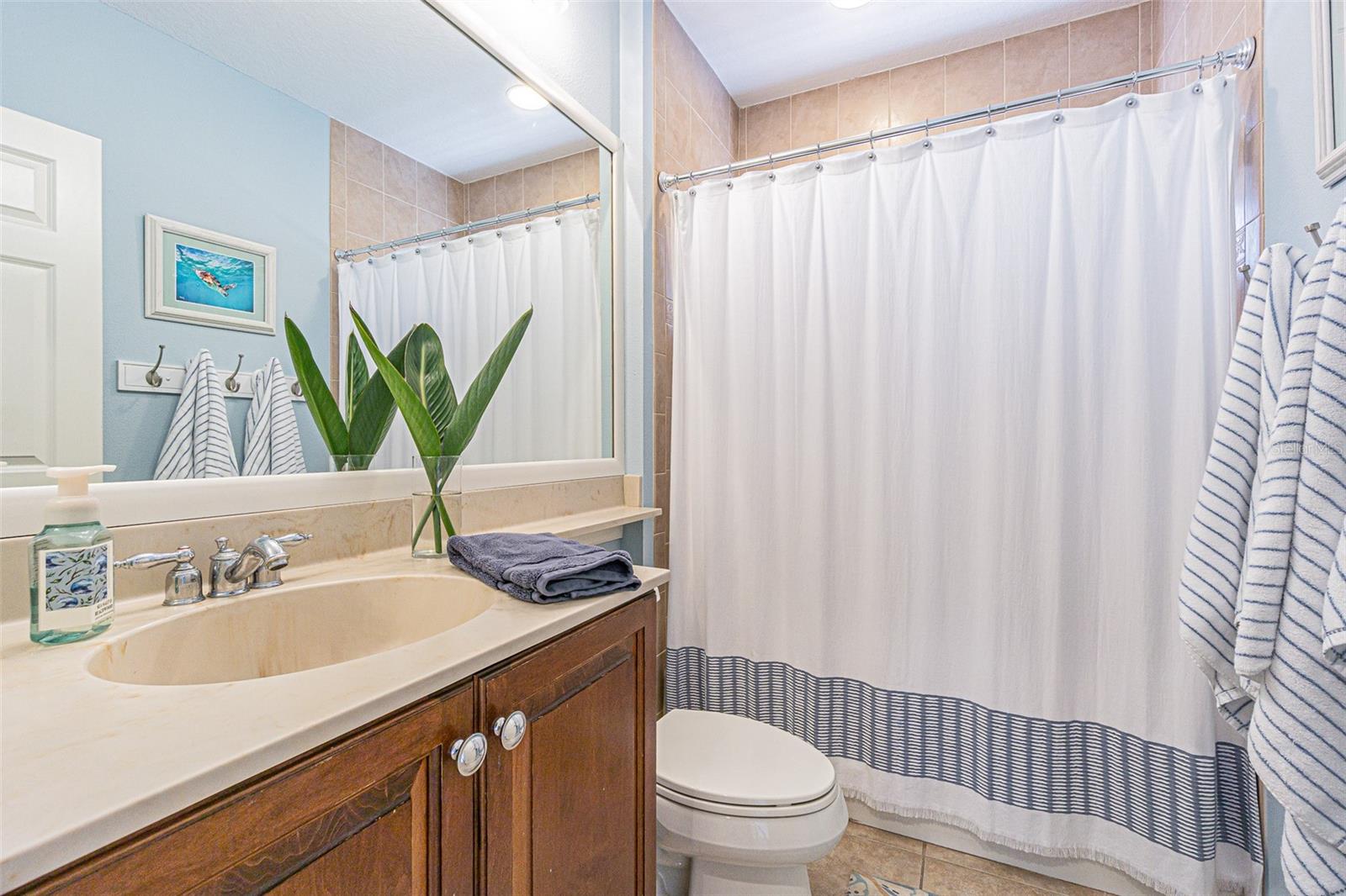 Listing photo id 25 for 27053 Winged Elm Drive