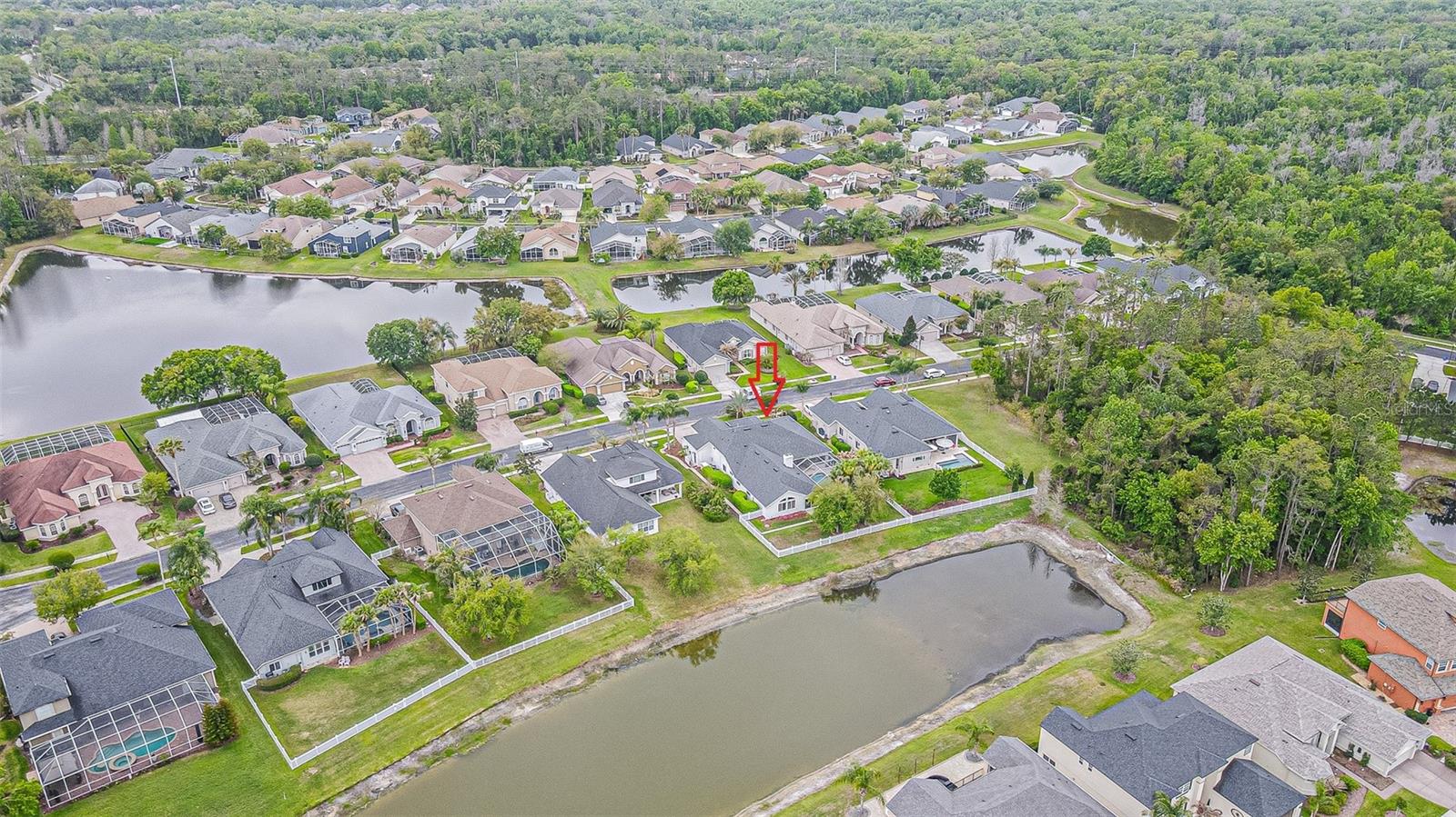 Listing photo id 51 for 27053 Winged Elm Drive