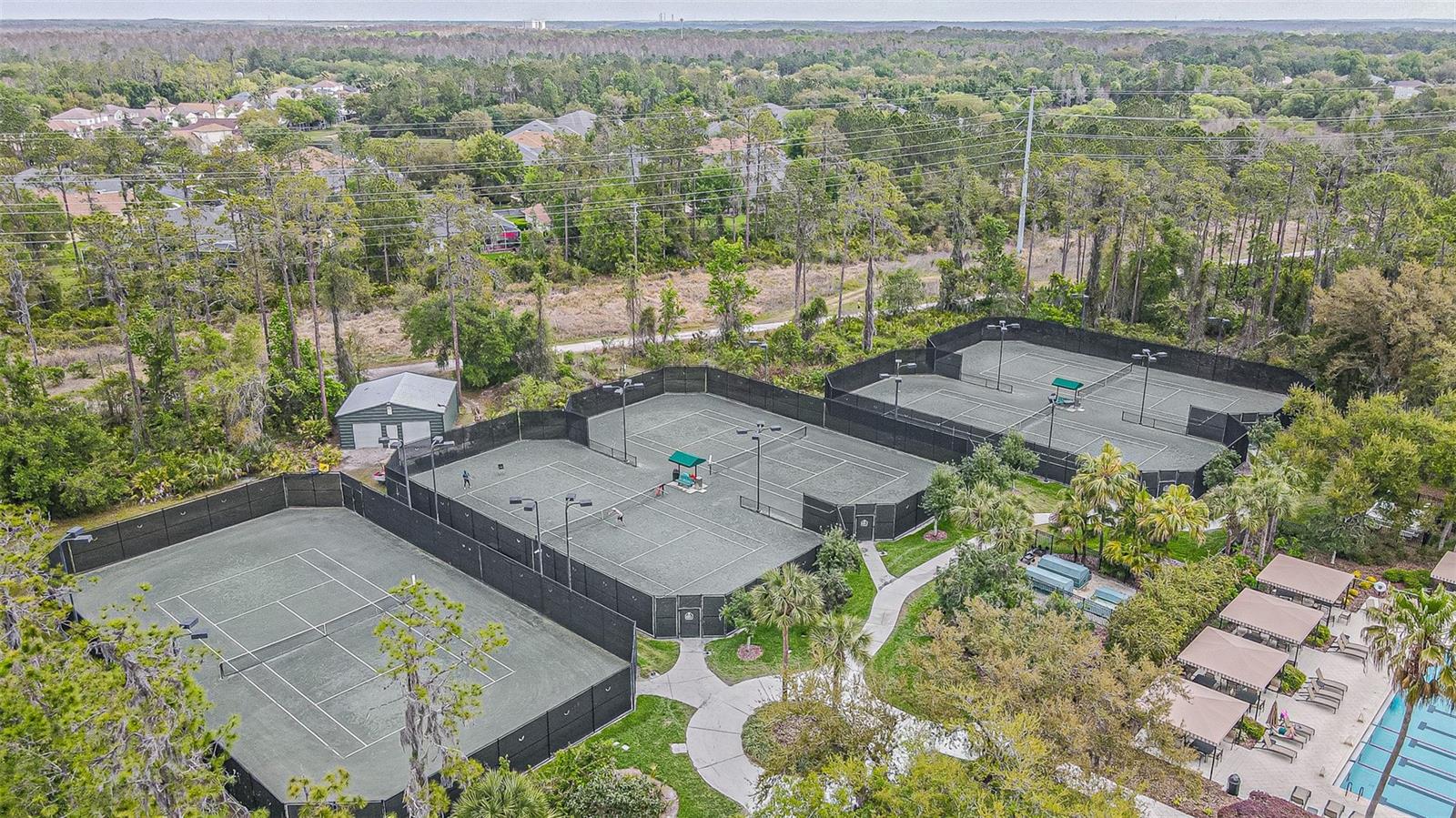 Listing photo id 56 for 27053 Winged Elm Drive