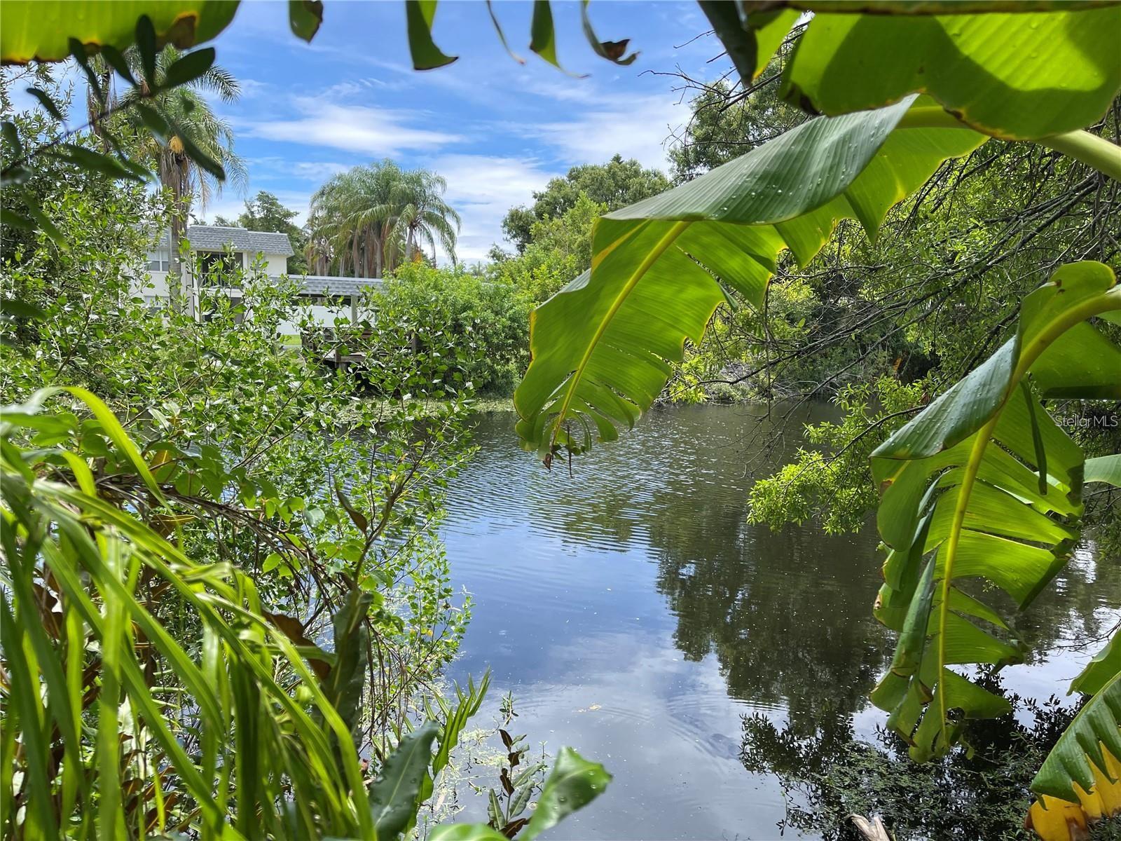 Image 11 of 11 For 199 Fulton Street Ne 1