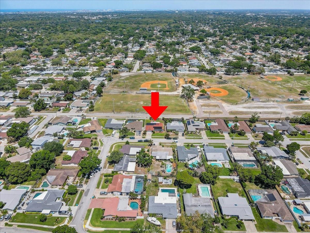 Image 43 of 60 For 12137 Orange Blossom Drive